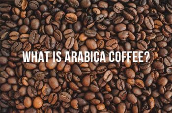 What Is Arabica Coffee? Arabica Vs Robusta: The Differences