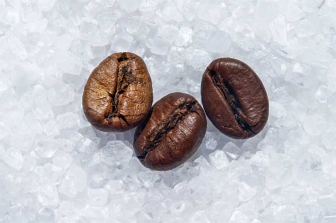 salty coffee beans