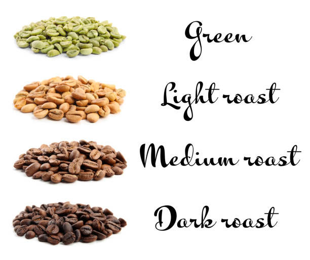 The coffee bean light roast guide