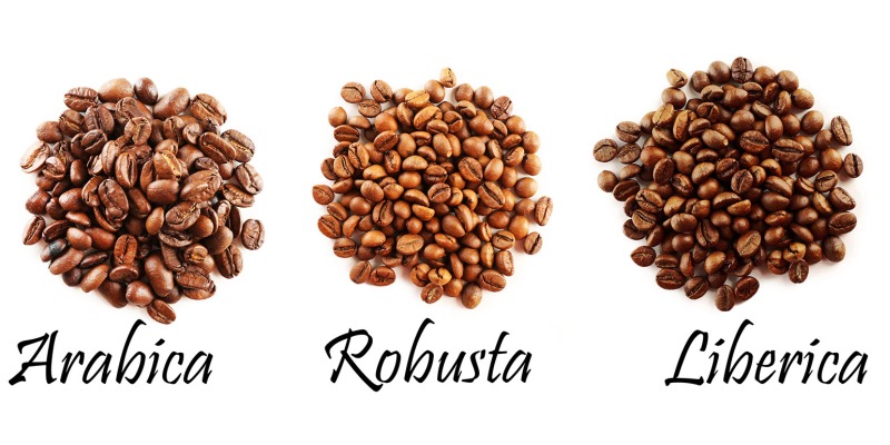 Arabica, Robusta or Liberica coffee beans
